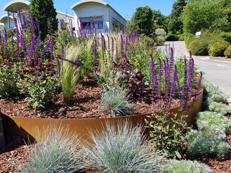 Mild steel edging creating raised bed with lots of tall plants and grasses alongside a road
