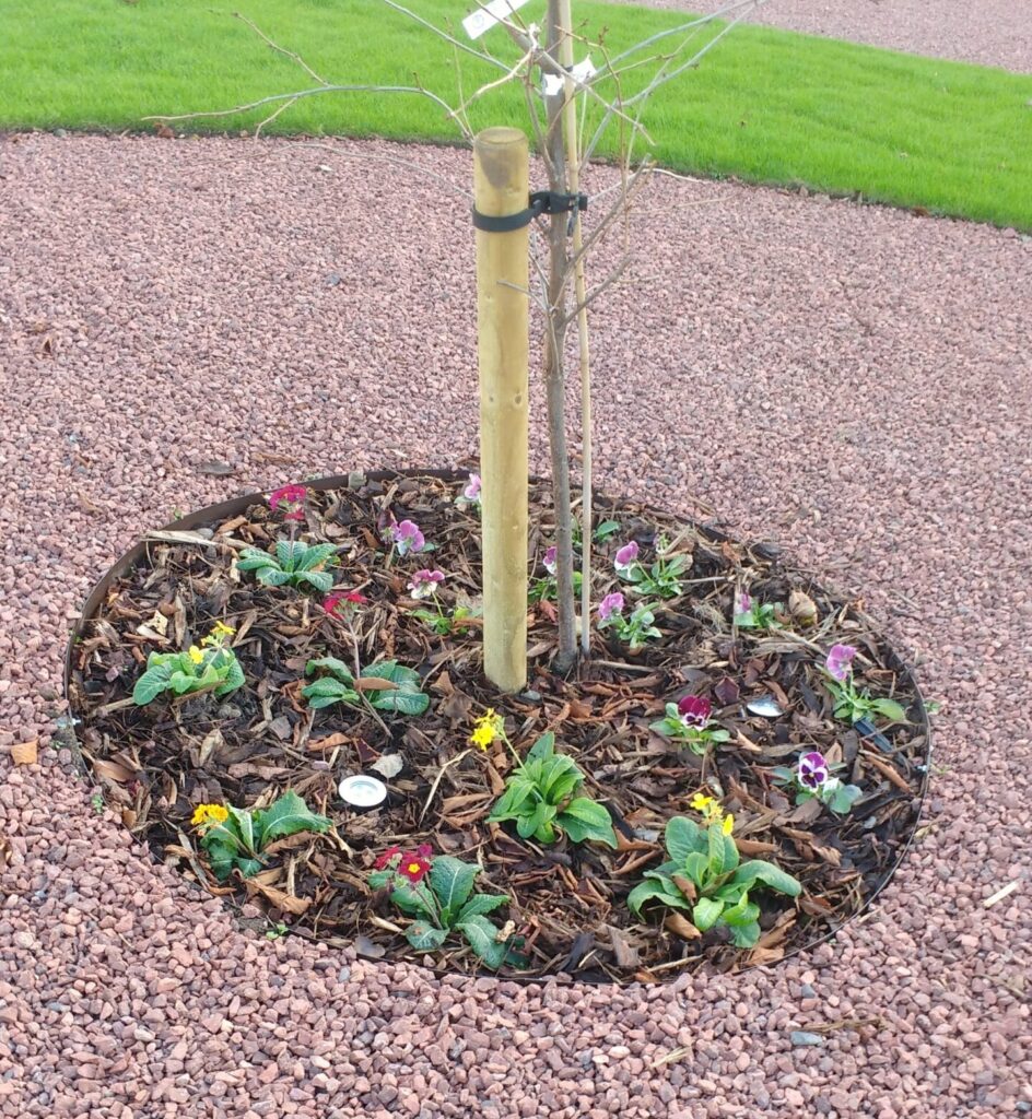 A young tree is supported by a bamboo stake and encircled by GARDEN RINGS, which surround a vibrant bed of small colourful flowers, mulch, and brown gravel. Green grass and a road are visible in the background.