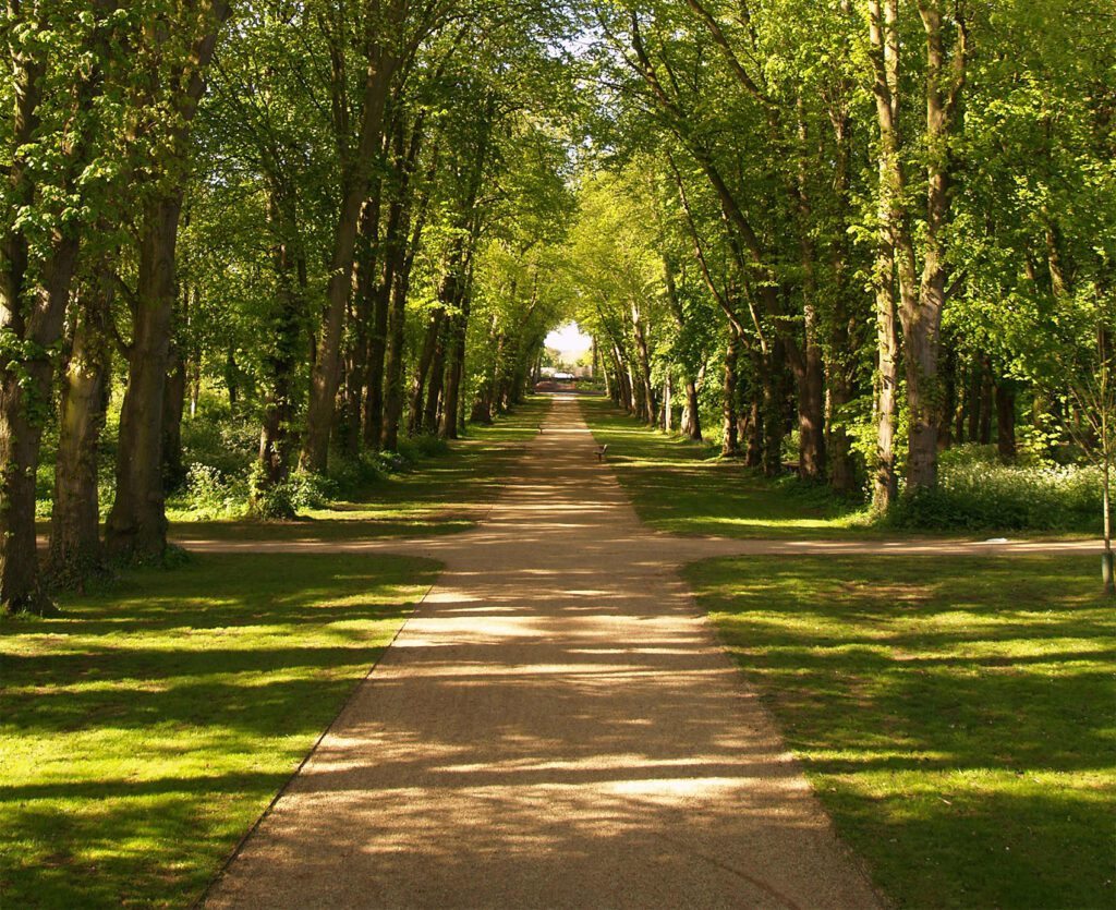 Dappled sunlight filters through the trees along a sunlit pathway in a lush park, casting shadows on the lawn and walking path, creating a serene atmosphere known as HALESTEM.