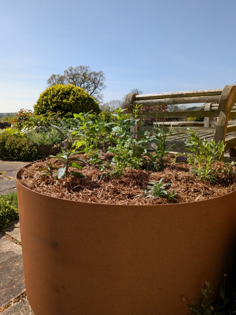 The EverEdge PLANTER, a spacious rust-colored metal planter filled with young greenery and mulch, sits on a stone patio outdoors with a wooden fence and neat garden bushes beneath a clear blue sky.