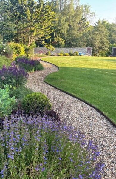 A lush garden with gravel paths and charming lawn edging curves through vibrant flower beds filled with purple and green plants. Tall trees and a clear blue sky are in the background, creating a serene outdoor scene.