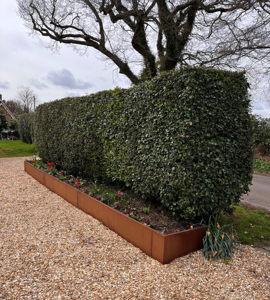 Neatly trimmed hedges and blooming red and yellow flowers fill a raised bed, bordered by RETAINING WALLS (DRAFT), with a large tree behind and light gravel on the ground.
